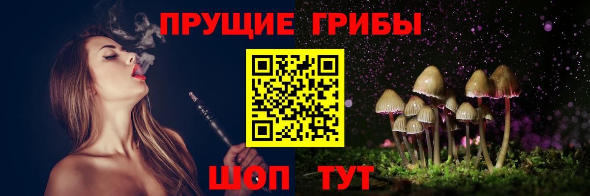 Псилоцибиновые грибы Psilocybe  Псилоцибиновые грибы мицелий  Вход с VPN  Ликино-Дулёво 